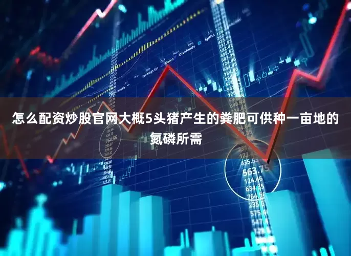 怎么配资炒股官网大概5头猪产生的粪肥可供种一亩地的氮磷所需