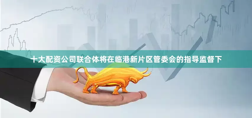 十大配资公司联合体将在临港新片区管委会的指导监督下