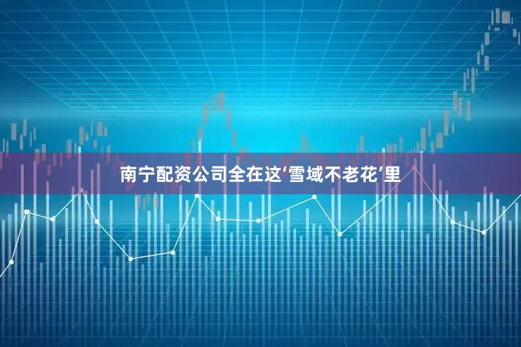 南宁配资公司全在这‘雪域不老花’里