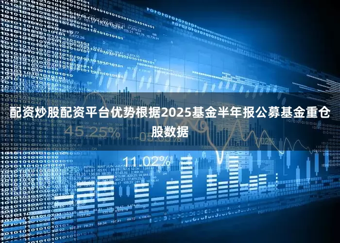 配资炒股配资平台优势根据2025基金半年报公募基金重仓股数据