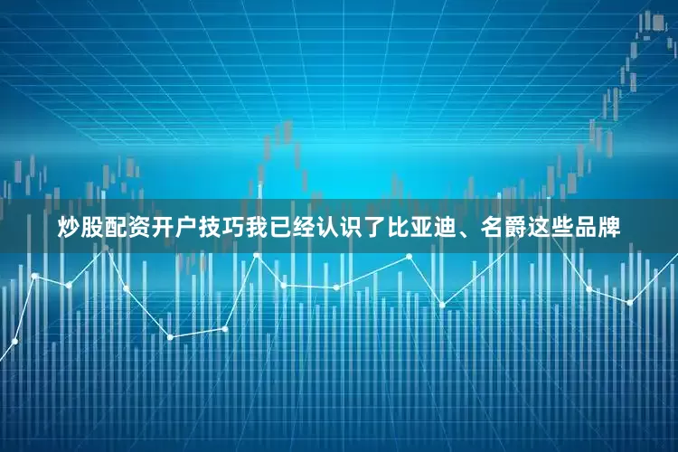 炒股配资开户技巧我已经认识了比亚迪、名爵这些品牌