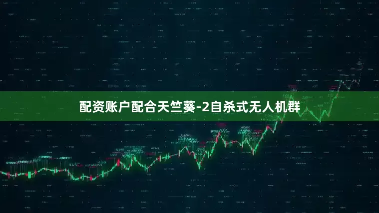 配资账户配合天竺葵-2自杀式无人机群